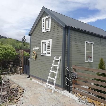 Appartement Tiny House Olivia à Liptovský Hrádok Extérieur photo