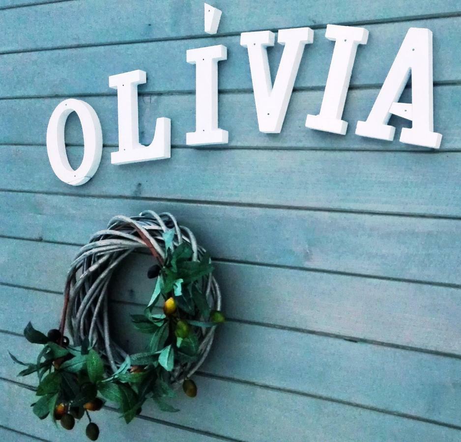 Appartement Tiny House Olivia à Liptovský Hrádok Extérieur photo