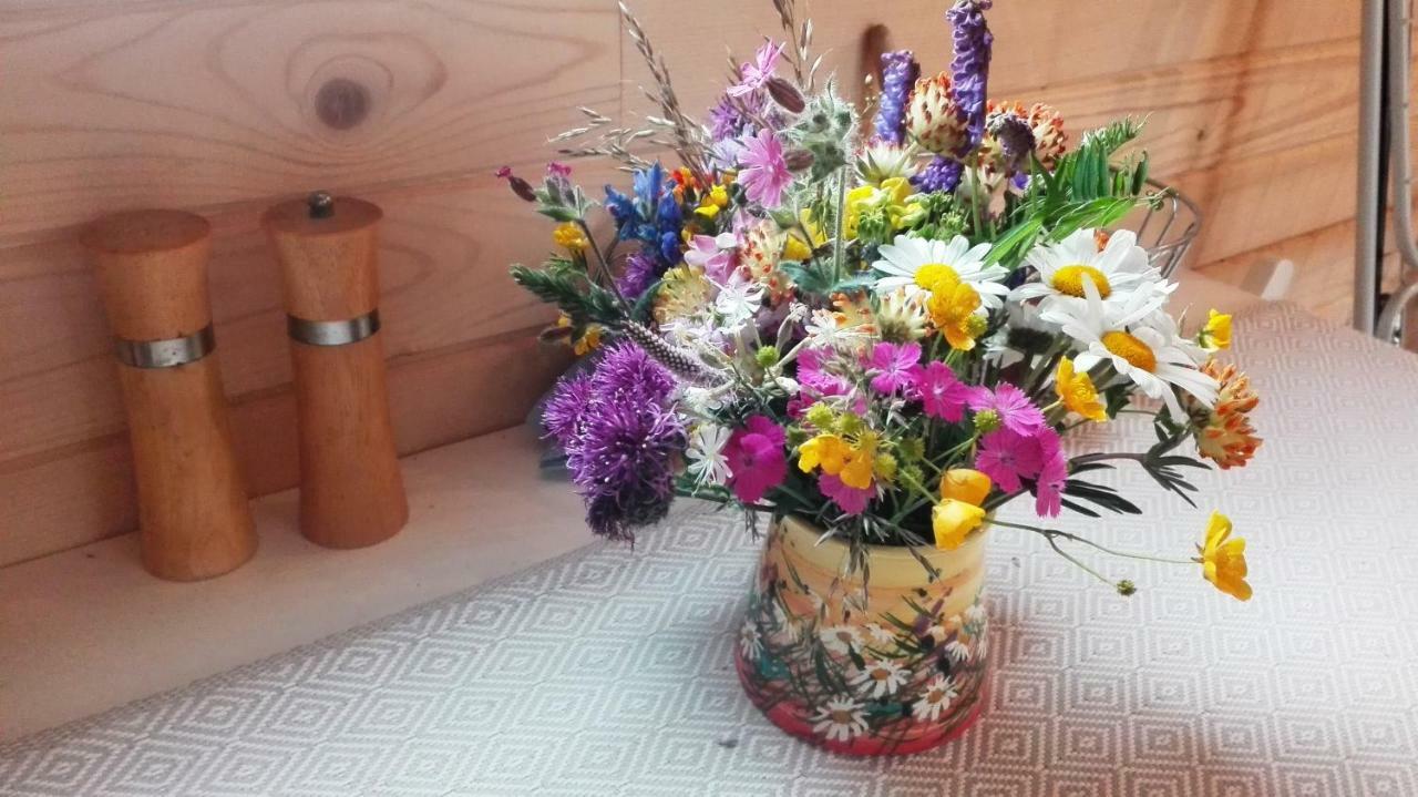 Appartement Tiny House Olivia à Liptovský Hrádok Extérieur photo